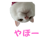 738028407