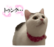 738028415