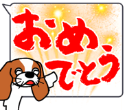 738034068