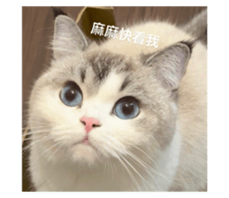 738039385