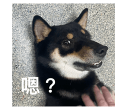 738083715