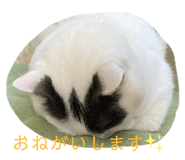 738088719