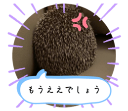 738099116