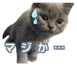 738205020