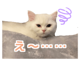 738205021