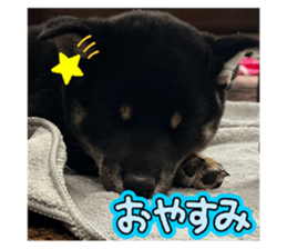 738207717