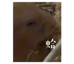 738220234