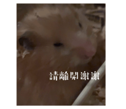 738220235