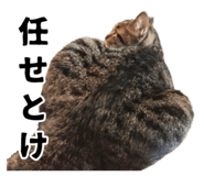 738221645