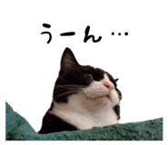 738221650