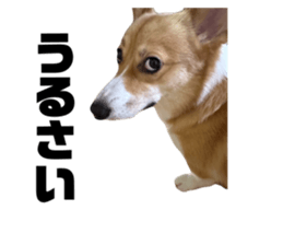 738223470