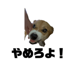 738223473