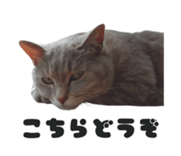 738248034