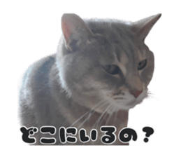 738248048