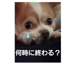 738268423