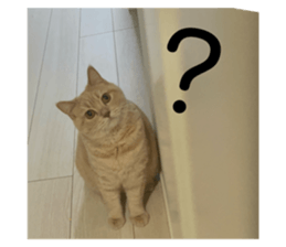 738286845