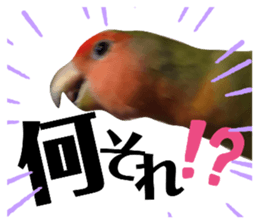 738305305