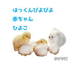738308320