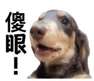 738328638