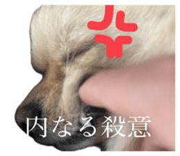 738329290