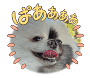738332699