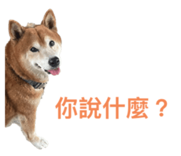 738334235