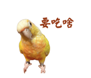 738334528