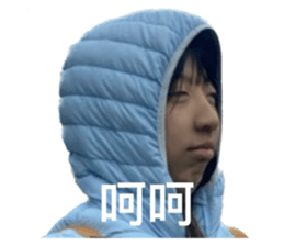 738335016