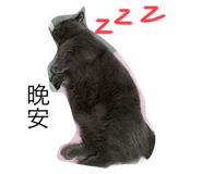 738335375