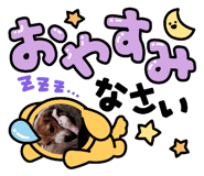 738339116