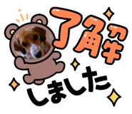 738339119