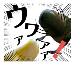 738353282
