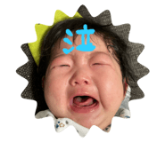 738377691
