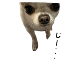 738378184