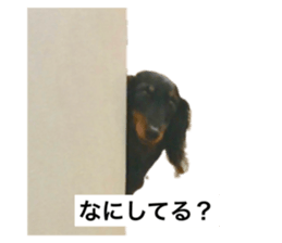 738378777