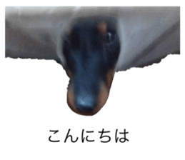 738378779
