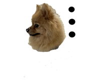 738378848