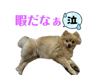 738378849