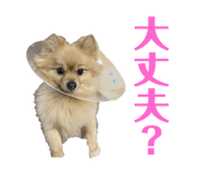 738378850