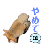 738378851