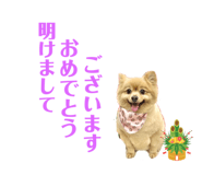 738378854