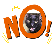 738386975