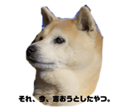 738410523