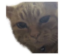 738429946
