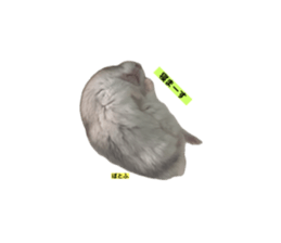 738456669