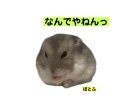 738456686