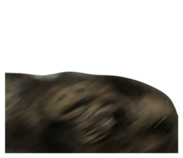 738463884