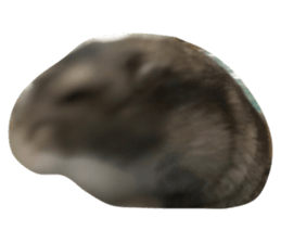 738463892
