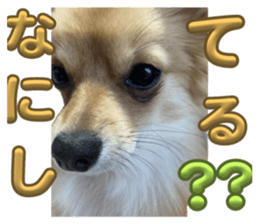 738486866