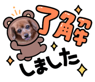 738497811